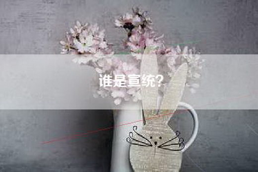 谁是宣统？