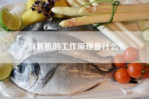 制氧机的工作原理是什么？