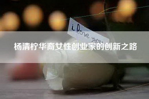 杨清柠华裔女性创业家的创新之路