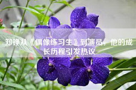 郑铮从《偶像练习生》到演员，他的成长历程引发热议