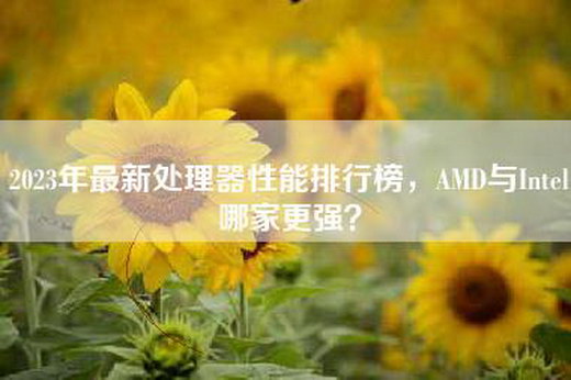 2023年最新处理器性能排行榜，AMD与Intel哪家更强？