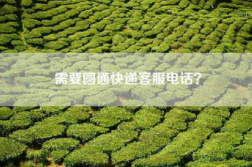 需要圆通快递客服电话？