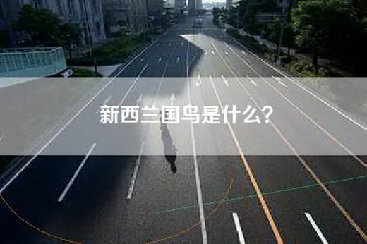新西兰国鸟是什么？