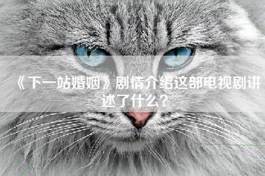 《下一站婚姻》剧情介绍这部电视剧讲述了什么？