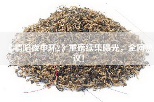 《情陷夜中环2》重磅续集曝光，全网热议！
