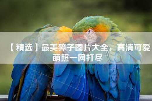 【精选】最美獐子图片大全，高清可爱萌照一网打尽