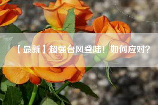 【最新】超强台风登陆！如何应对？