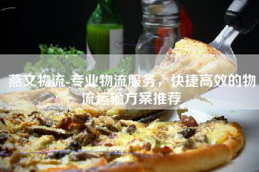 燕文物流-专业物流服务，快捷高效的物流运输方案推荐