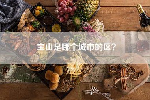 宝山是哪个城市的区？