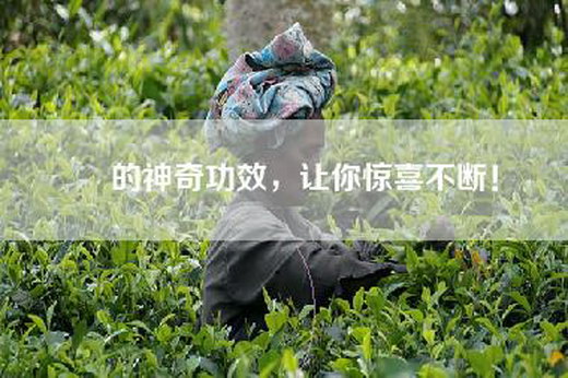 皛的神奇功效，让你惊喜不断！