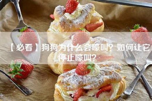 【必看】狗狗为什么会嚎叫？如何让它停止嚎叫？