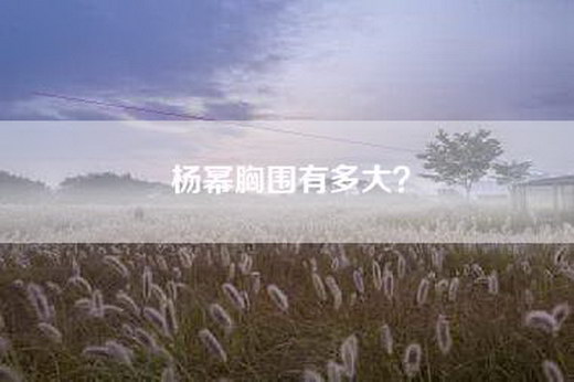 杨幂胸围有多大？