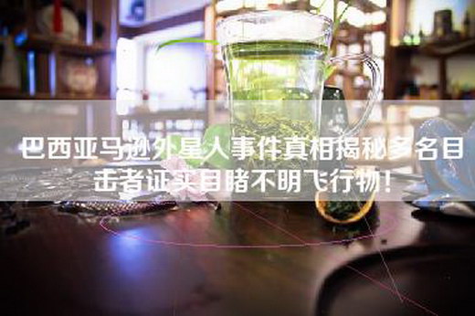 巴西亚马逊外星人事件真相揭秘多名目击者证实目睹不明飞行物！