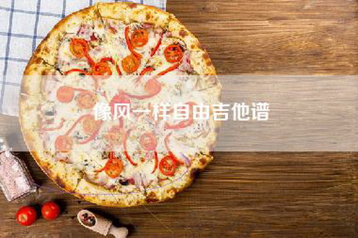像风一样自由吉他谱