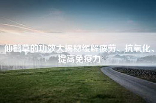 仙鹤草的功效大揭秘缓解疲劳、抗氧化、提高免疫力
