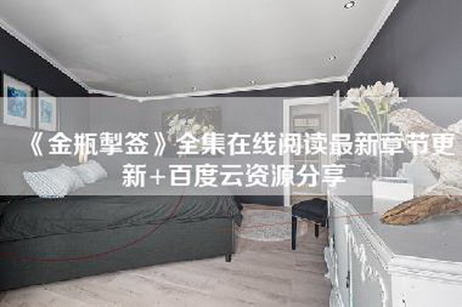 《金瓶掣签》全集在线阅读最新章节更新+百度云资源分享