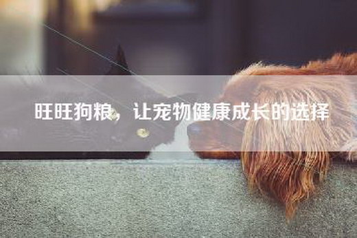 旺旺狗粮，让宠物健康成长的选择