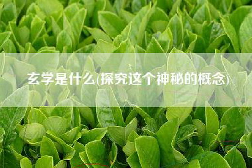 玄学是什么(探究这个神秘的概念)