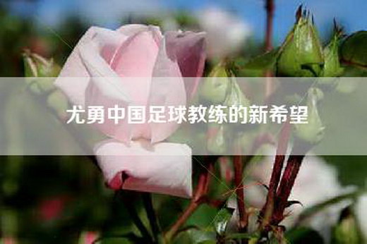 尤勇中国足球教练的新希望