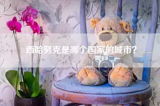 西哈努克是哪个国家的城市？