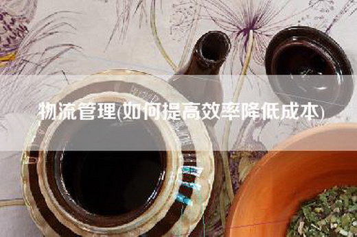 物流管理(如何提高效率降低成本)