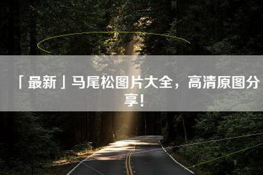 「最新」马尾松图片大全，高清原图分享！