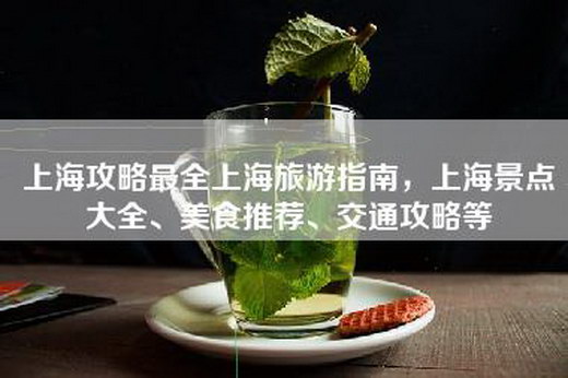 上海攻略最全上海旅游指南，上海景点大全、美食推荐、交通攻略等