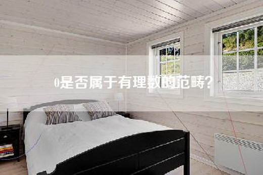 0是否属于有理数的范畴？