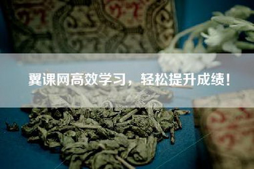 翼课网高效学习，轻松提升成绩！