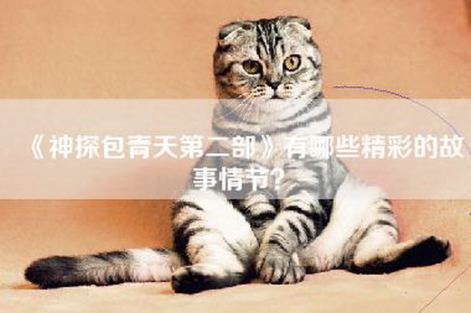 《神探包青天第二部》有哪些精彩的故事情节？