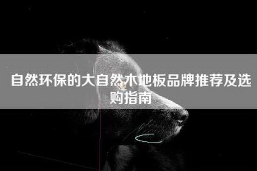 自然环保的大自然木地板品牌推荐及选购指南