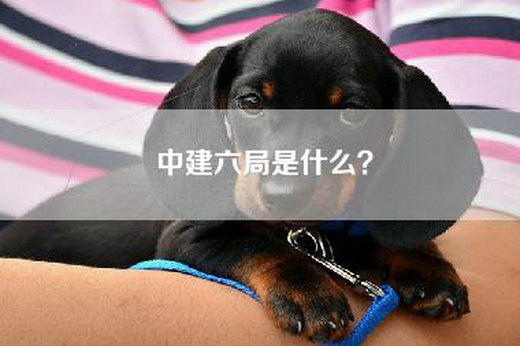 中建六局是什么？