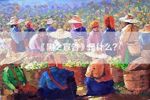 《黑之宣告》是什么？