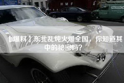 【爆料】东北乱炖火爆全国，你知道其中的秘密吗？