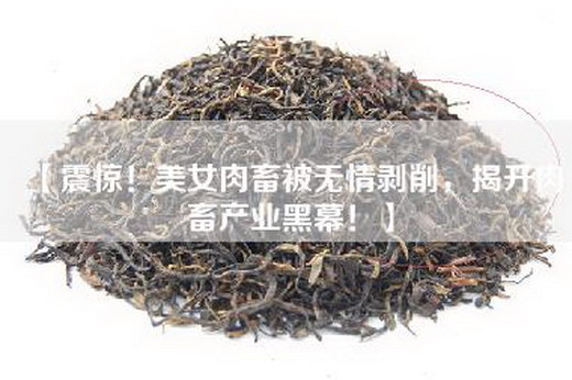 【震惊！美女肉畜被无情剥削，揭开肉畜产业黑幕！】
