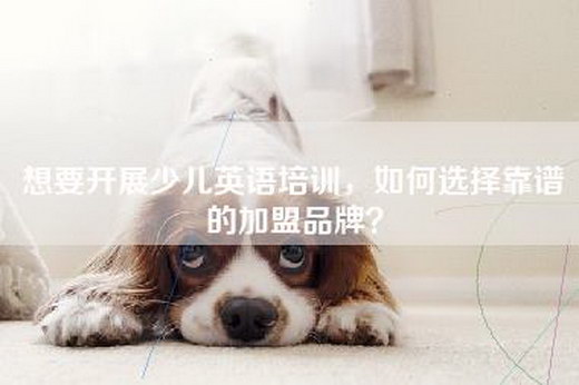 想要开展少儿英语培训，如何选择靠谱的加盟品牌？