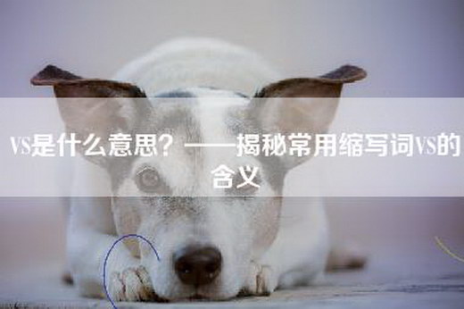 VS是什么意思？——揭秘常用缩写词VS的含义