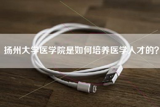 扬州大学医学院是如何培养医学人才的？