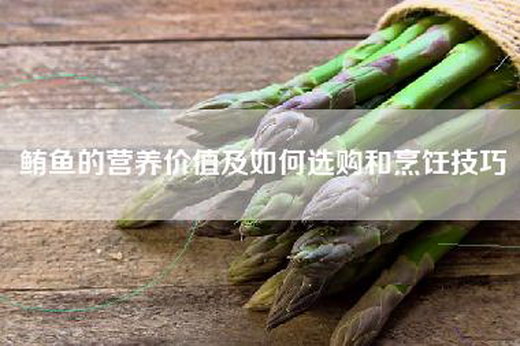 鲔鱼的营养价值及如何选购和烹饪技巧
