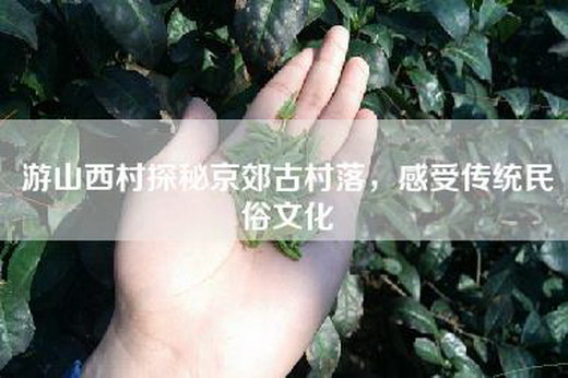 游山西村探秘京郊古村落，感受传统民俗文化