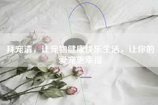 拜宠清，让宠物健康快乐生活，让你的爱宠更幸福