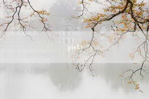 pinky
