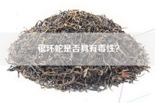银环蛇是否具有毒性？