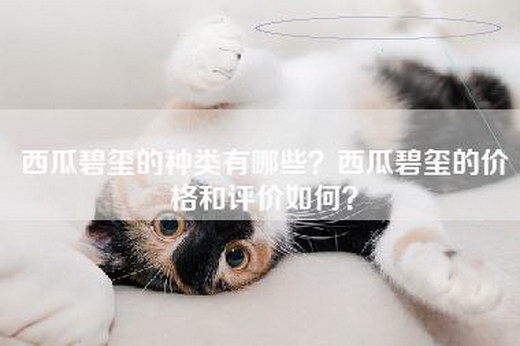 西瓜碧玺的种类有哪些？西瓜碧玺的价格和评价如何？