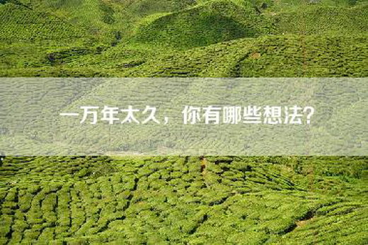 一万年太久，你有哪些想法？
