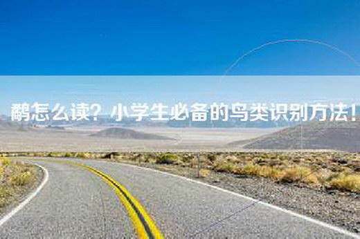 鹬怎么读？小学生必备的鸟类识别方法！