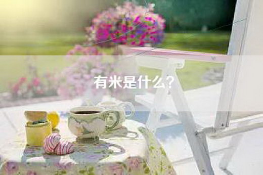 有米是什么？