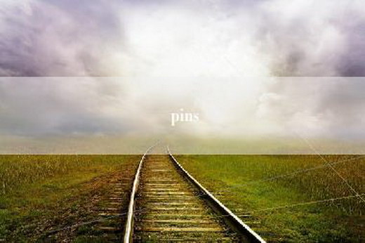pins