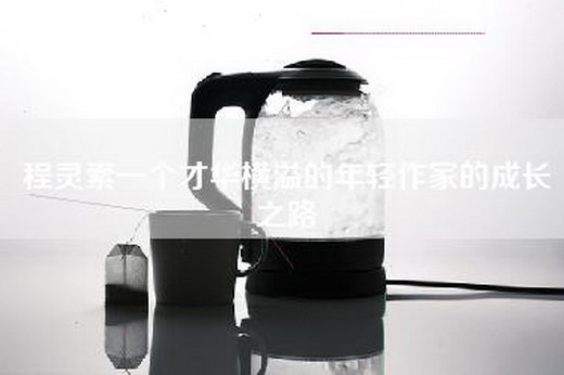 程灵素一个才华横溢的年轻作家的成长之路
