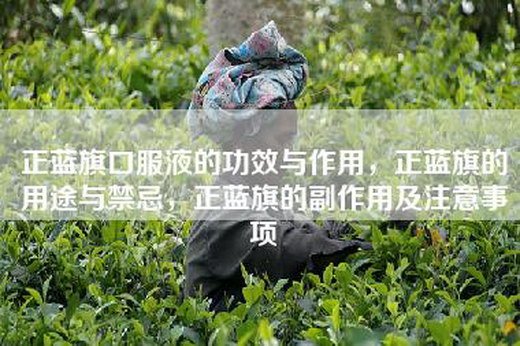 正蓝旗口服液的功效与作用，正蓝旗的用途与禁忌，正蓝旗的副作用及注意事项
